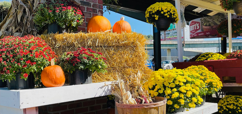 Flowers & Hay At Capitol Market Flowers & Hay At Capitol Market