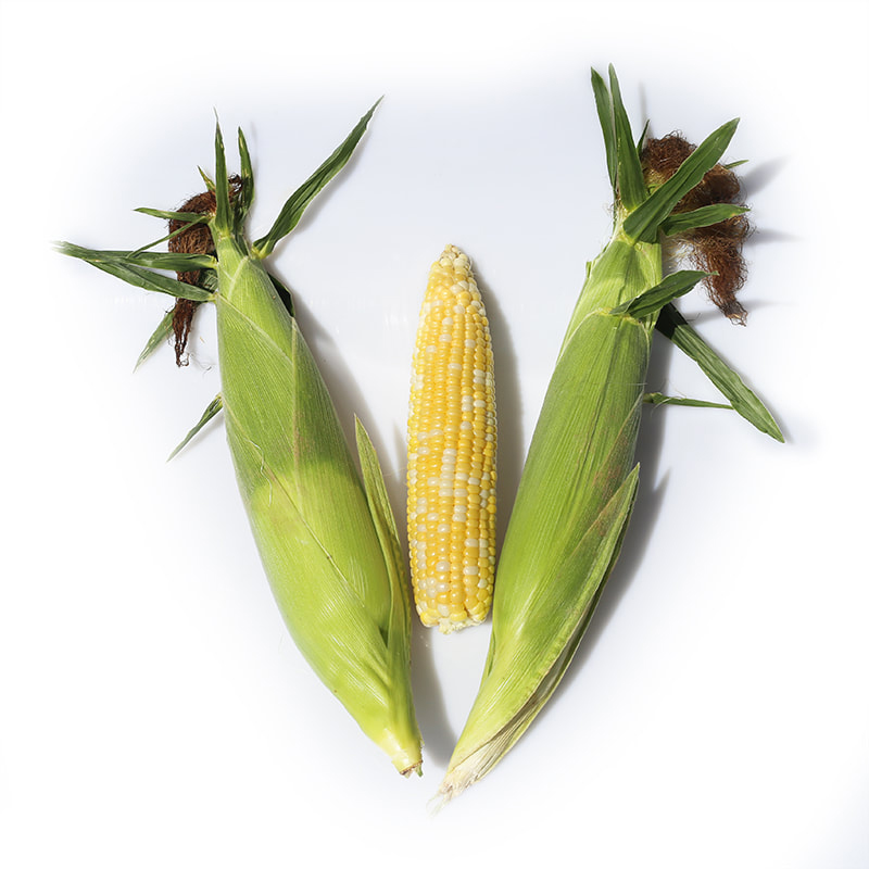 Corn Corn