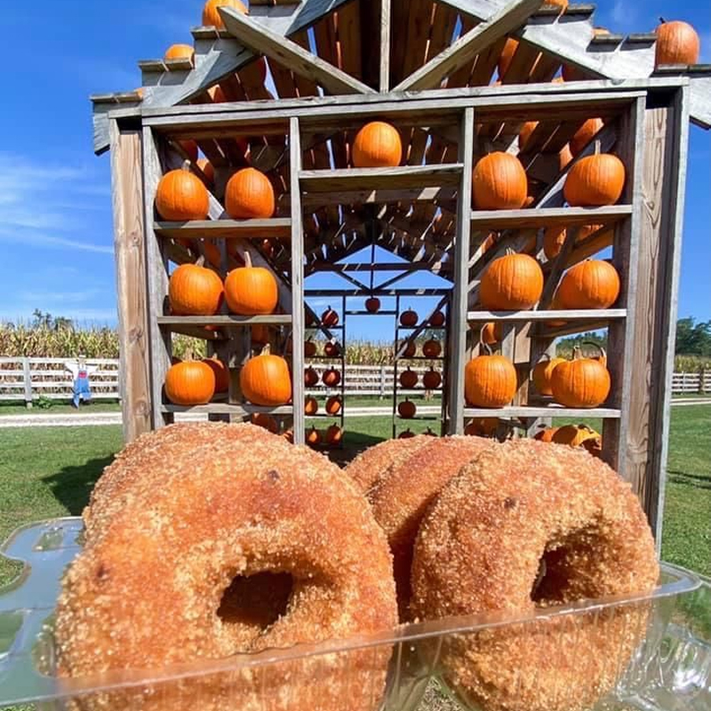 Pumpkin House & Donuts
