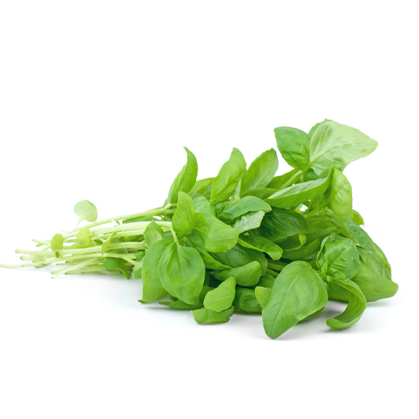 produce-basil
