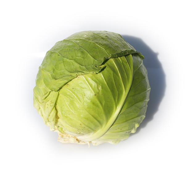 produce-cabbage-green