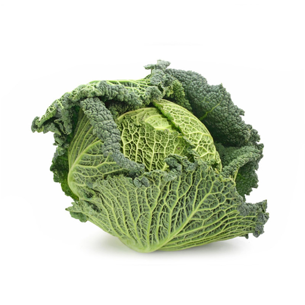 produce-cabbage-savoy