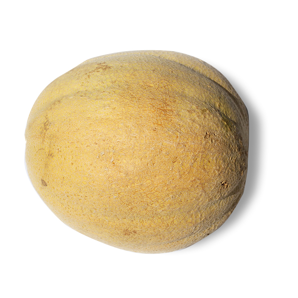 produce-cataloupe