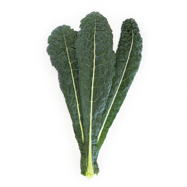 produce-kale-dinosaur
