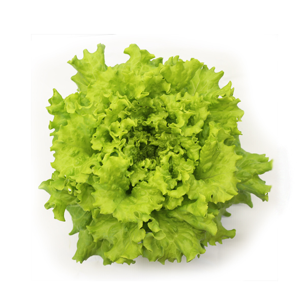 produce-lettuce