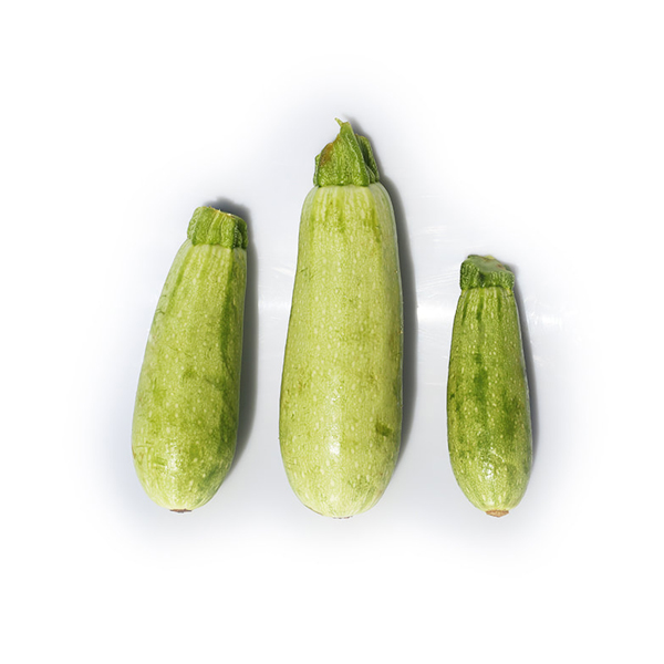 produce-squash-kusa