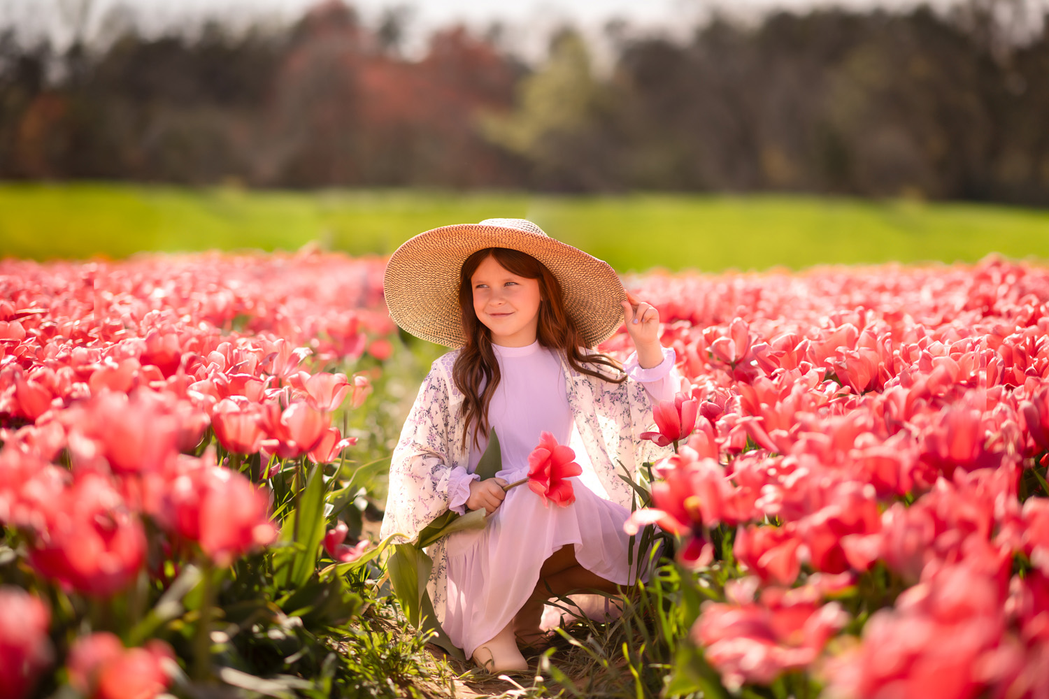 Tulip Field 2024 1